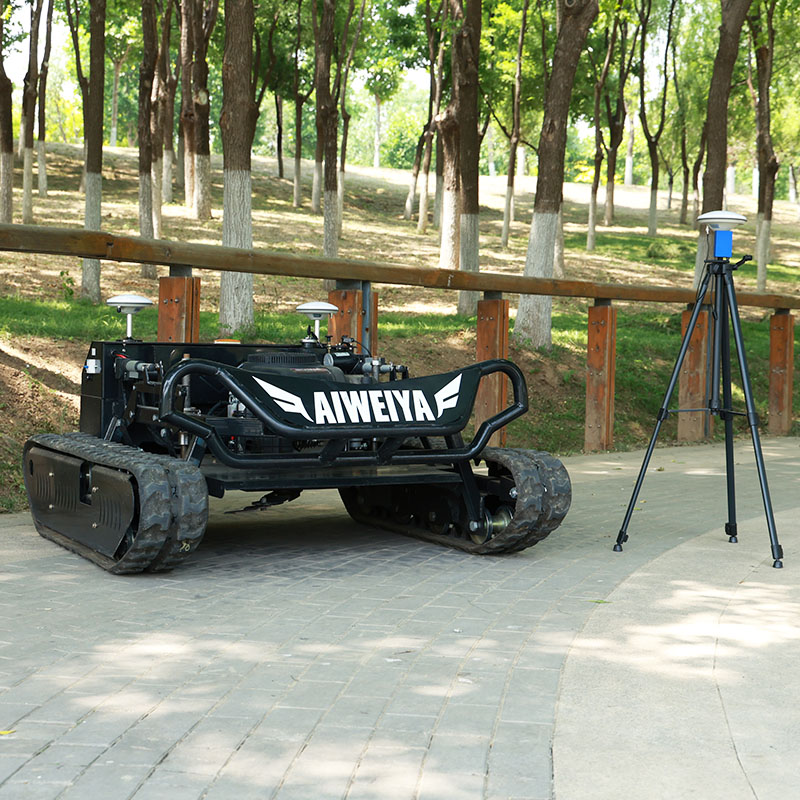 Gardening Tools For Elderly - Customized RC Lawn Mower with One
