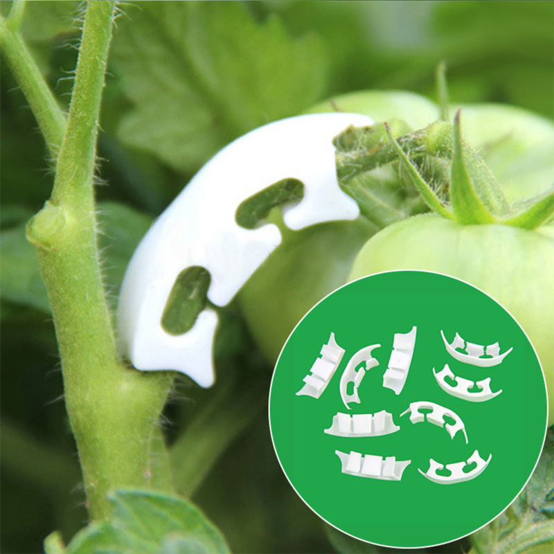 Gardening Tools Range - 50/100pcs Botany-stem Vine Strapping Clips Garden