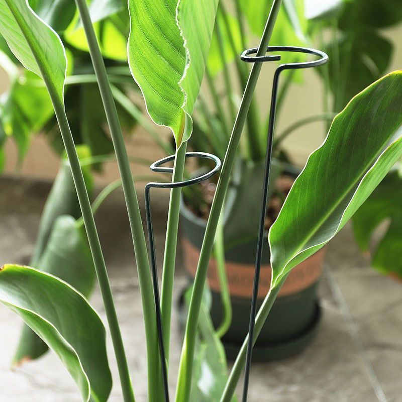 1/10pcs Garden Support Stake R - đánh giá và giá Gardening Tools Range