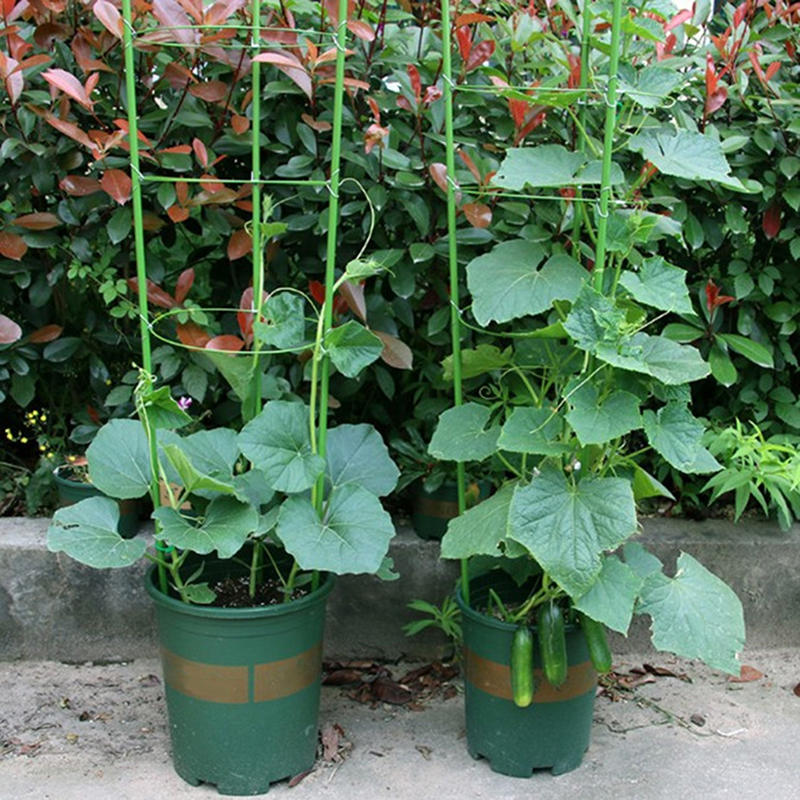45cm Plant Support Plant Stake - đánh giá và giá Gardening Tools Range