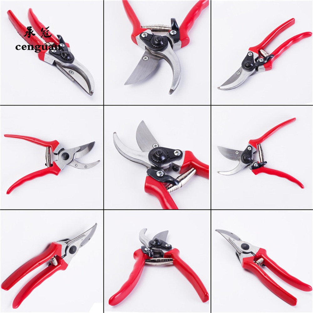 Premium Grafting Pruning Shear - đánh giá và giá Gardening Tools Quality