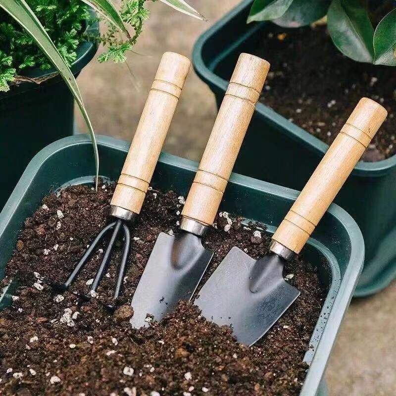 3Pcs Mini Gardening Tool Set w - đánh giá và giá Gardening Tools Set