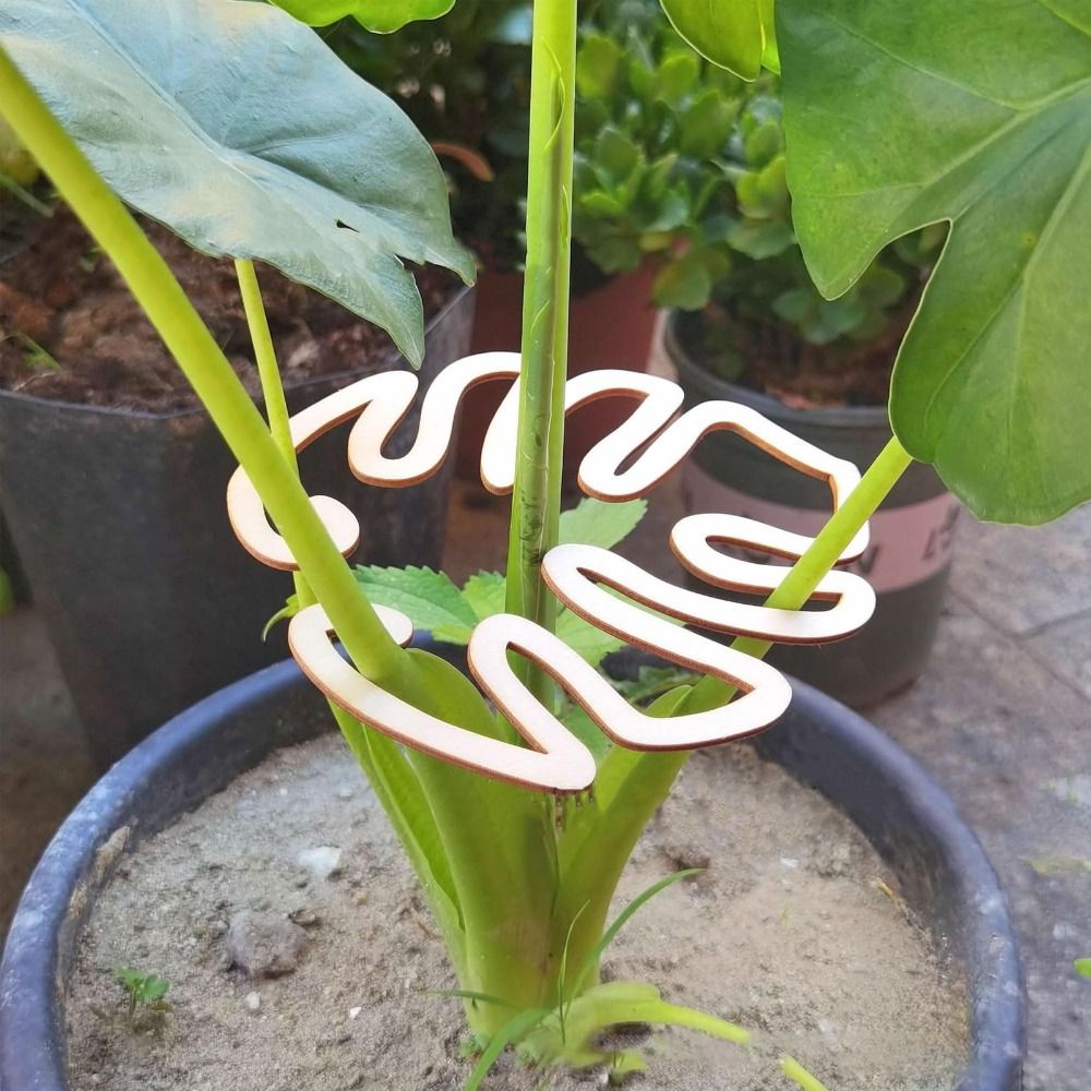 1/2PCS Reusable Turtle Shell B - đánh giá và giá Gardening Tools Range