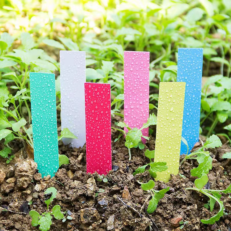 100 Chiếc Vườn Vật Có Nhãn Nhự - đánh giá và giá Garden Label Marker