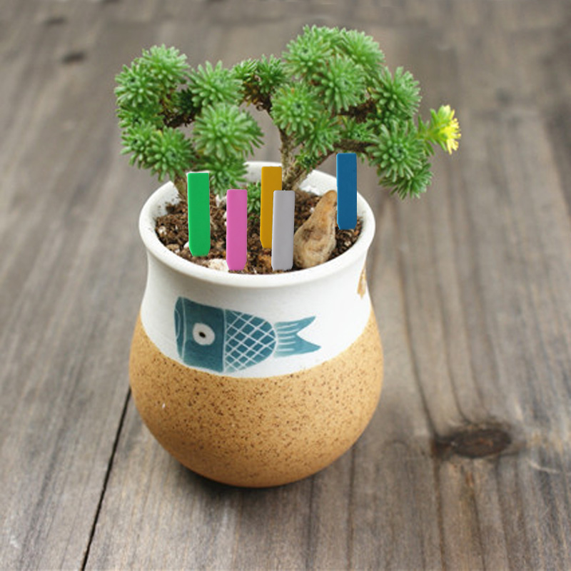 100 Chiếc Vườn Vật Có Nhãn Nhự - đánh giá và giá Garden Label Marker