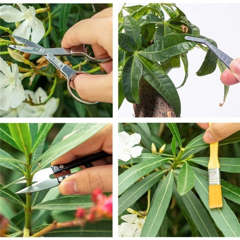 Multi-functional Mini Garden P - đánh giá và giá Spade Digging Fork