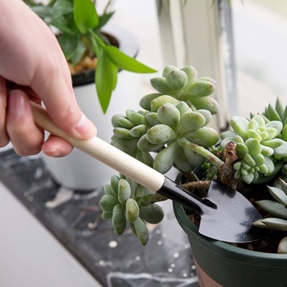 Multi-functional Mini Garden P - đánh giá và giá Spade Digging Fork