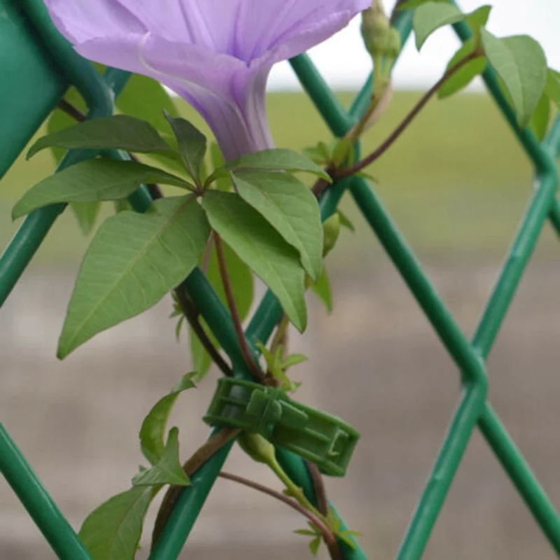100 PCS/ Plant Support Clip Pl - đánh giá và giá Gardening Tools Range