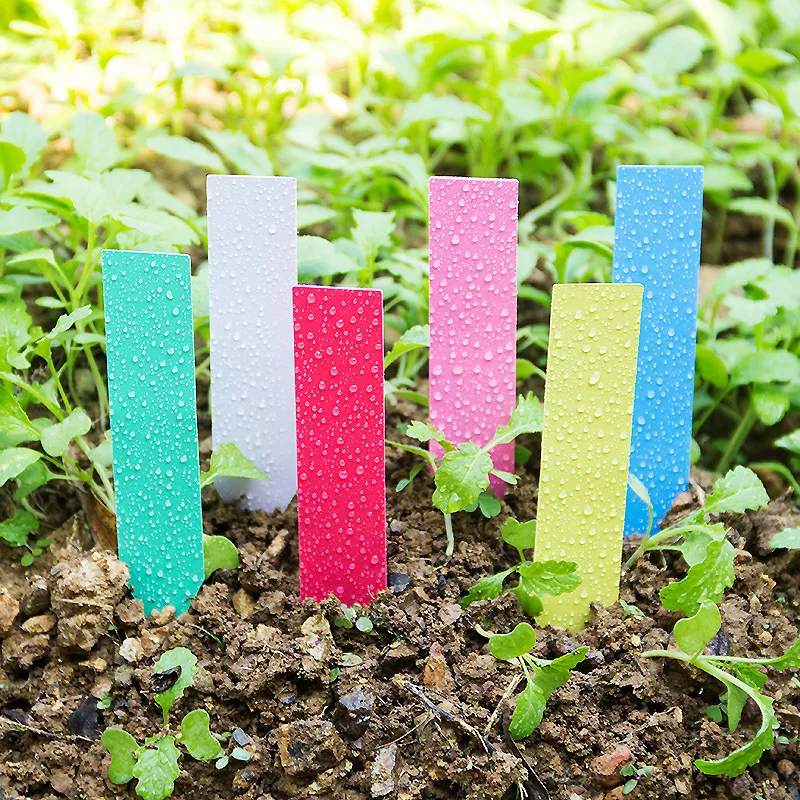 100 Chiếc Dày 4Inch Vật Có Nhã - đánh giá và giá Garden Label Marker