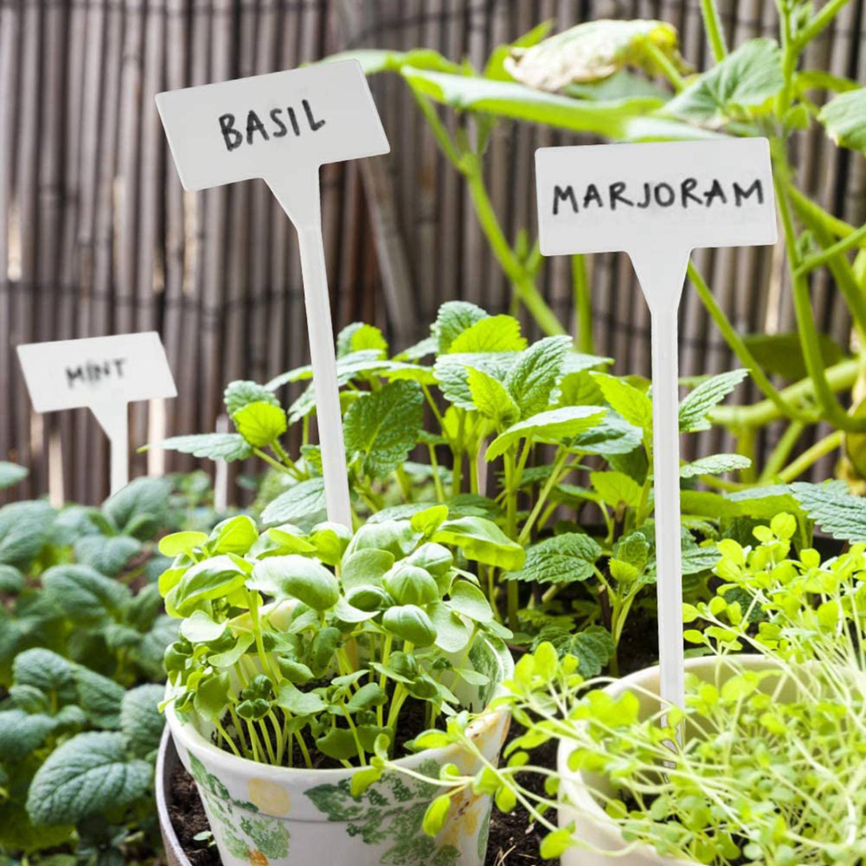 VEHO-80Pcs Outdoor Plant Label - đánh giá và giá Garden Label Marker