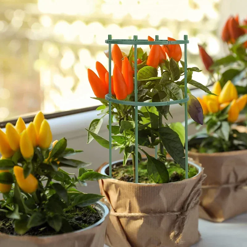 Plastic Plant Support Pile Sta - đánh giá và giá Gardening Tools Range