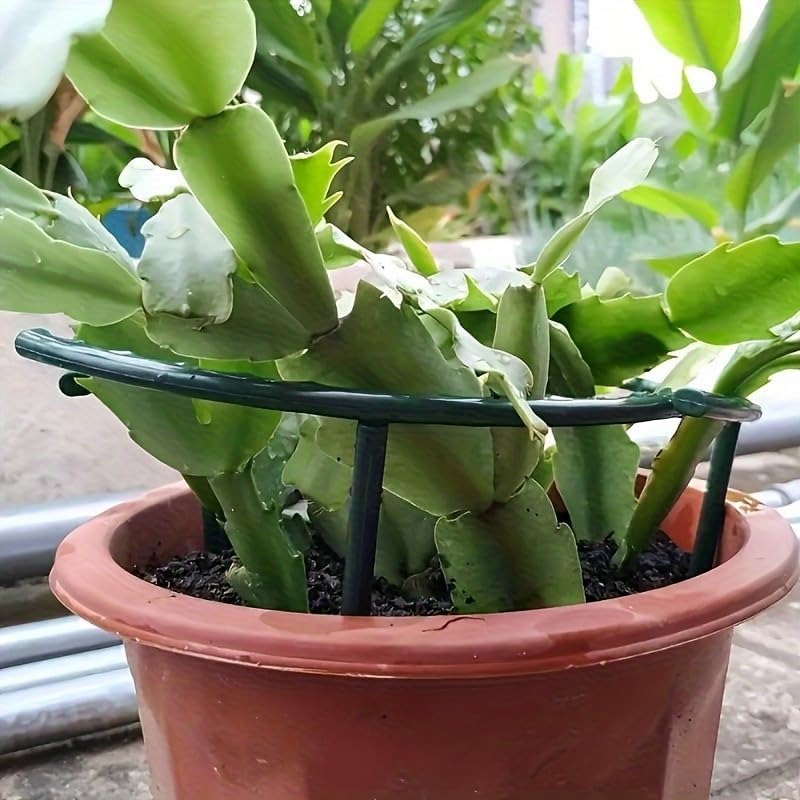 30-1PCS Plastic Plant Support  - đánh giá và giá Gardening Tools Range
