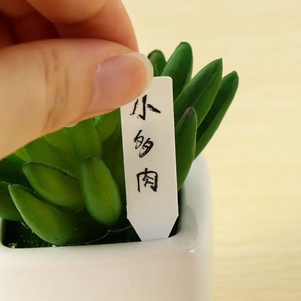 100Pcs Reusable Classification - đánh giá và giá Garden Label Marker