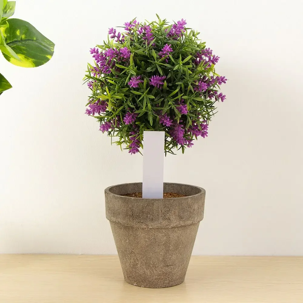 100Pcs Reusable Classification - đánh giá và giá Garden Label Marker
