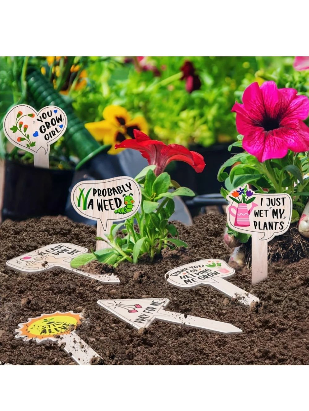 5/10Pcs Plant Labels for Succu - đánh giá và giá Garden Label Marker